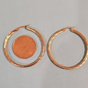Elegant Gold Plated Hoop Earrings 316 Stainless Steel.